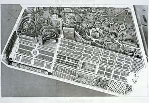 Vue aérienne du plan du Jardin des Plantes à Paris, 1842