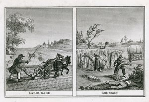 Scènes agricoles de labour et de récolte