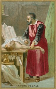 André Vésale