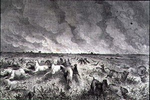 Animaux fuyant un incendie de prairie