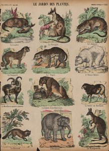 Animaux au Jardin des Plantes, Paris, France