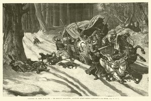 Aventures De Terre Et De Mer - French School