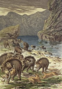 Bataille entre mammouths et tigres à dents de sabre, de Le Monde Avant la Création de l