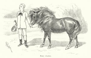 Garçon avec un poney irlandais - French School