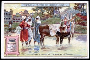 Fêtes nuptiales à Bénarès, Inde - chromo. Liebig, v. 1895