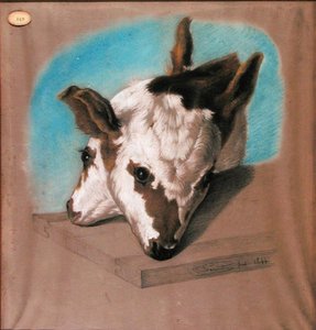 Veau à deux têtes - French School
