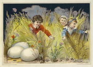 Enfants cherchant d