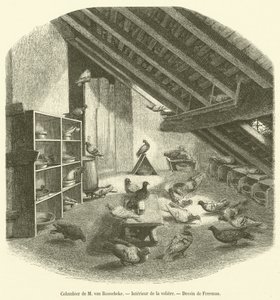 Colombier de M. van Roosebeke, Intérieur de la volière - French School