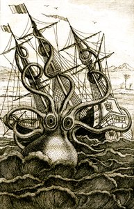 Poulpe colossal, c.1802