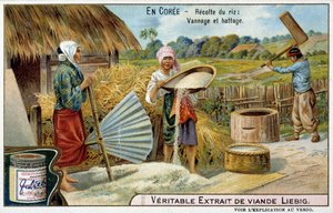 Corée : récolte du riz, tissage et battage - chromo. Liébig, v.1900 - French School