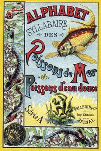 Couverture de "Syllabaire alphabet des poissons de mer et d