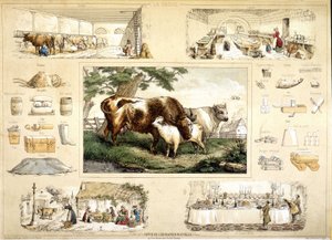 Vache et ses produits (traite, laiterie) - French School