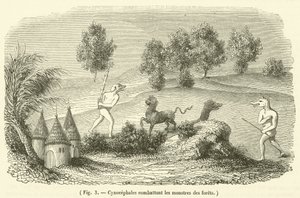 Cynocéphales combattant les monstres des forêts - French School