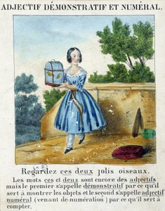 Adjectif démonstratif et numérique (une fille portant une cage avec 2 oiseaux) - dans "La grammaire en images"