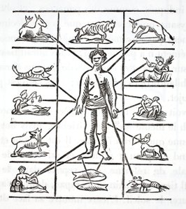 Désignation des parties que chaque signe gouverne