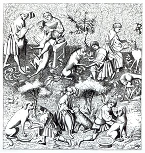 Maladies des chiens et leur guérison, d
