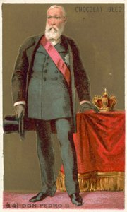Don Pedro II, empereur du Brésil - French School