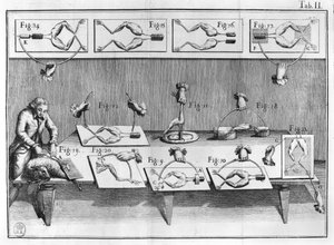 Expérience sur des grenouilles, illustration de De viribus electricitatis in motu muscumari