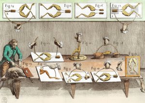 Expérience sur des grenouilles, illustration de De viribus electricitatis in motu muscumari (coloration ultérieure) - French School