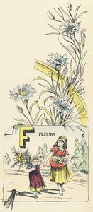 Fleurs - French School