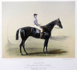 Cheval de course célèbre - dans « Le Centaure » 1866 - French School