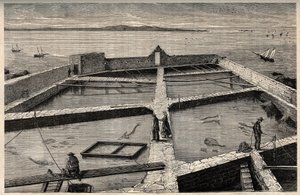 Pisciculture à Concarneau - Bretagne - Établissement de pisciculture - Concarneau - Finistère - Bretagne - gravure dans "PATRIE" - DESCRIPTION PICTURESQUE DE LA FRANCE EN 6 VOLUMES PAR LUCIEN HUARD - fin XIXe siècle