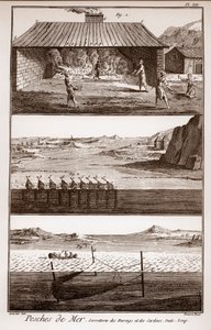 Pêche, harengs et sardines - « La Grande Encyclopédie, ou Dictionnaire Raisonné des Sciences, des Arts et des Métiers » par Denis Diderot