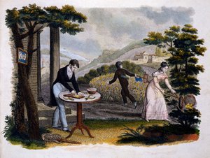 Frontispice de Les Papillons... par Eugène Balland (1796-c.1850), publié par P. Blanchard, Lecerf, Paris, 1823