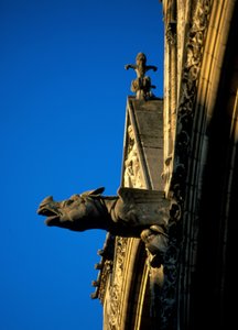 Gargouille de la cathédrale de Laon dans l