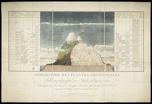 Géographie des Plantes Équinoxiales - French School