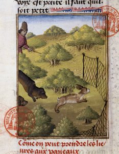 Chasse au lièvre - dans "Livre de chasse de Gaston Phoebus, Comte de Foix, Seigneur de Béarn" - French School