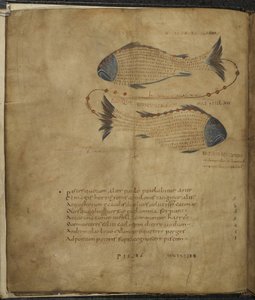 Illustration de la Constellation des Poissons, de 