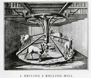 Chevaux conduisant un laminoir, de l