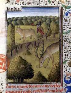 Chasse au cerf avec un leurre - dans "Livre de chasse de Gaston Phoebus, Comte de Foix, Seigneur de Béarn"