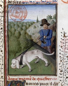 Chien de chasse tenu en laisse - dans « Livre de chasse de Gaston Phébus, comte de Foix, seigneur de Béarn » - French School