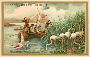 Chasse aux flamants roses, Espagne - French School