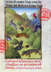 Chasse aux lapins avec des chiens et des filets, du Livre de la Chasse par Gaston Phébus, début du XVe siècle