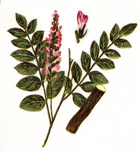 Illustration for "Mon docteur - traite de medecine et d
