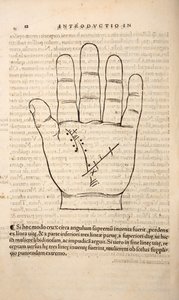 Illustration de Chiromantia par Joannes Indagioe, Strasbourg, 1531 - French School