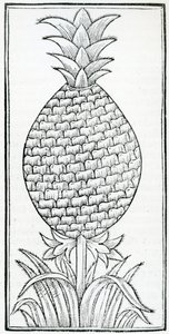 Illustration de 