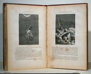 Illustrations de Autour de la Lune par Jules Verne (1828-1905) - French School