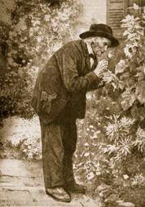Jean-Henri Fabre observant des insectes - French School