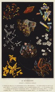 Le Microscope, appliqué à l