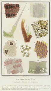 Le microscope, appliqué à l