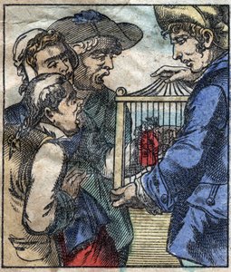 Lemuel Gulliver, dans une cage, est montré aux géants de Brobdingnag. Illustration pour "Les Voyages de Gulliver" de Jonathan Swift (1667-1745). Imagerie d