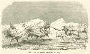 Les Pygmées combattant les Grues - French School