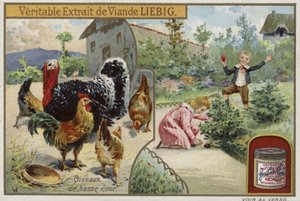 Carte Liebig représentant de la volaille