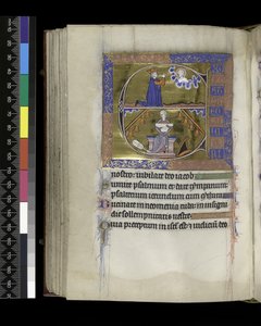 MS 300 f.89v, David prie Dieu