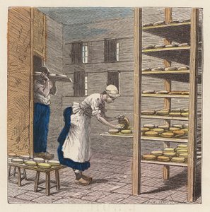 Fabrication de fromage - French School