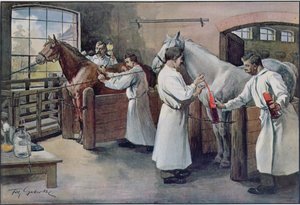 Fabrication de sérum antidiphtérique à partir de sang de cheval, tiré de Les Animaux, vers 1900